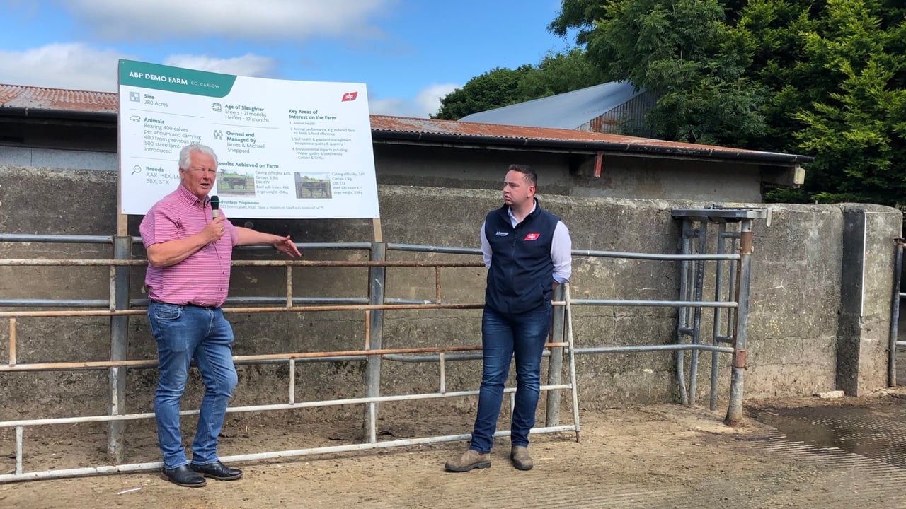 'Synergy needed between processors and farmers' - ABP livestock manager