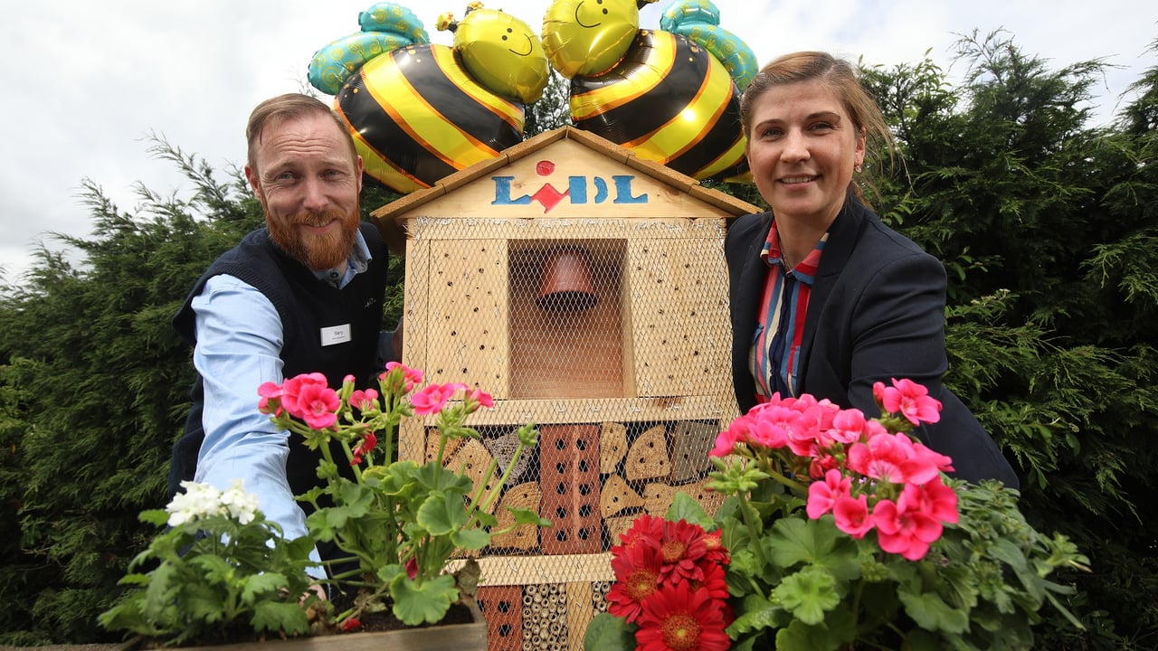 Lidl installs five new pollinator gardens at NI stores
