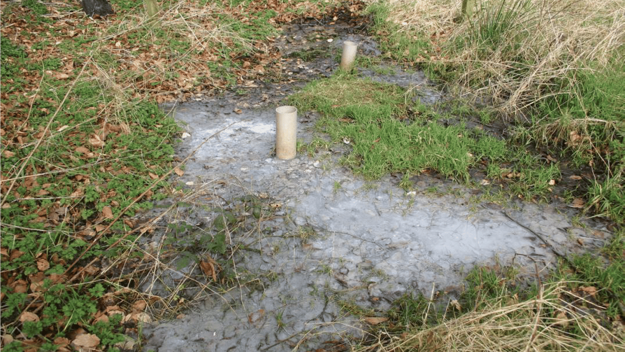 53% of septic tank systems failed inspection last year - EPA