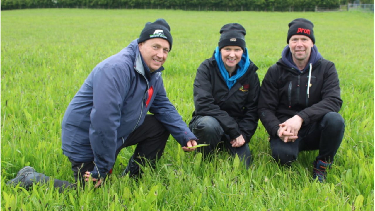 ARCZero: Antrim sheep farm shows benefits of carbon farming