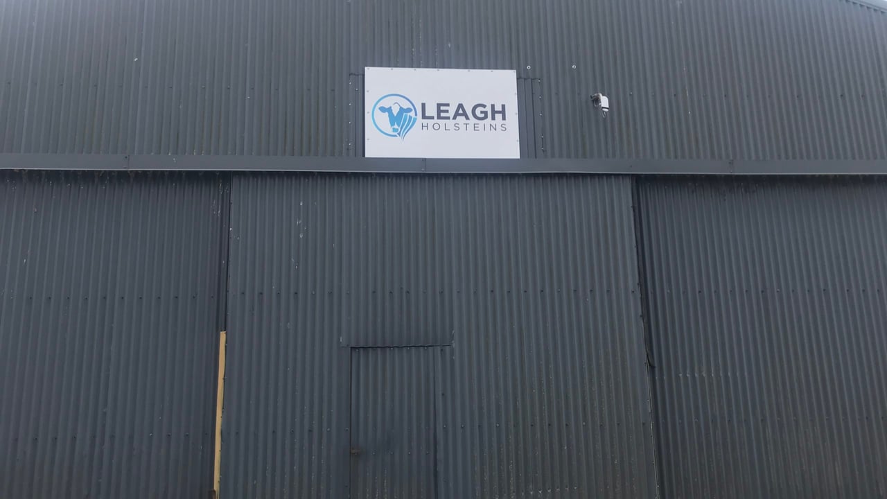 Dairy throwback: A passion for pedigree breeding at Leagh Holstein