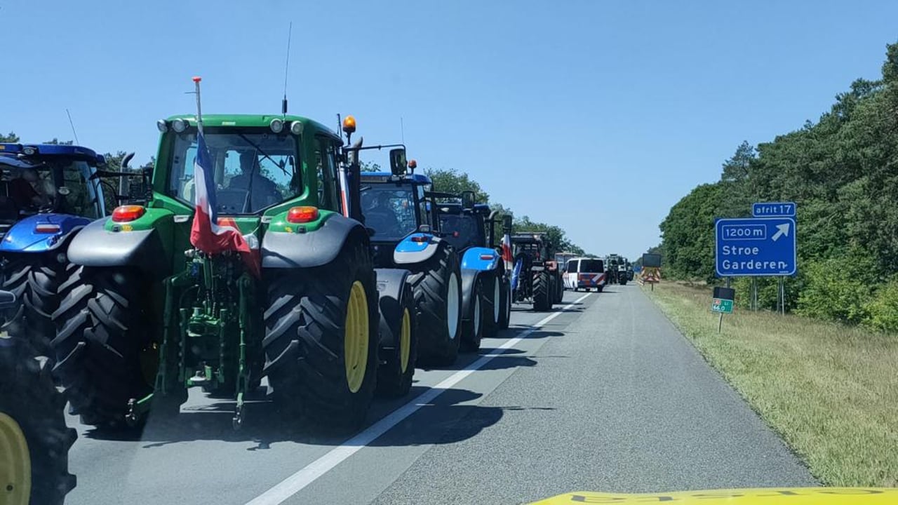 Video: Dutch police fire shots during farmer tractor protest