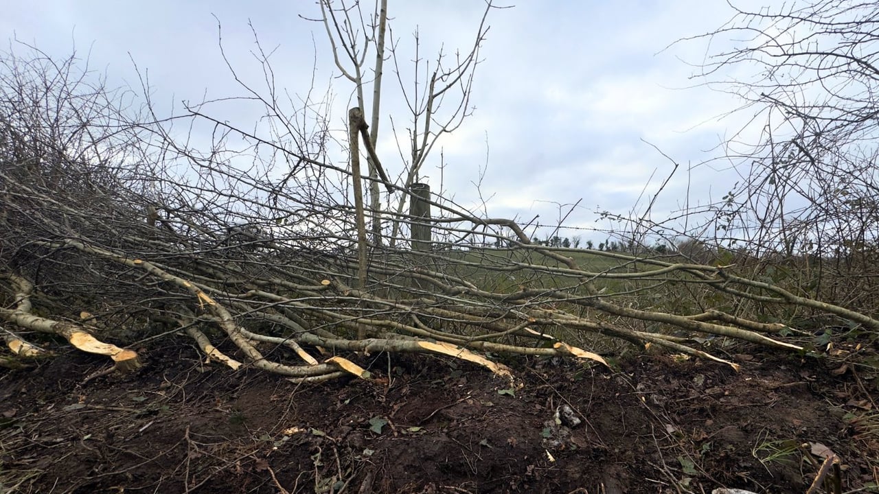 ACRES CP hedgerow management workshop in Co. Leitrim