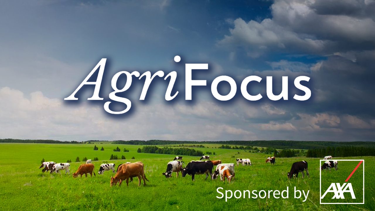 Listen: AgriFocus - all things tillage with Teagasc's Michael Hennessy