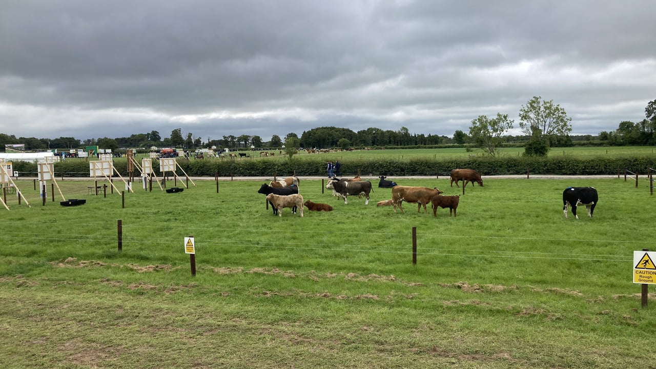 Teagasc BEEF2022 Open Day, Grange, Co. Meath. Image: Teagasc