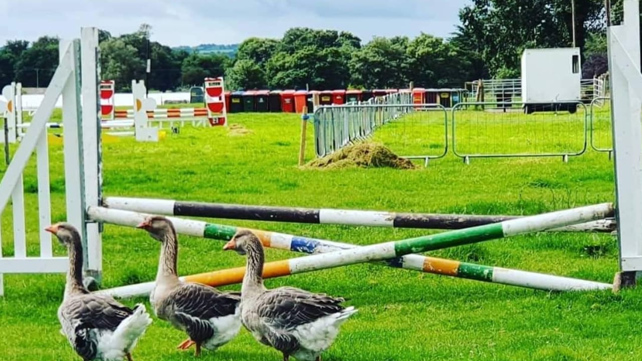 Everyone is getting set for the return of the Cappamore Show this August!