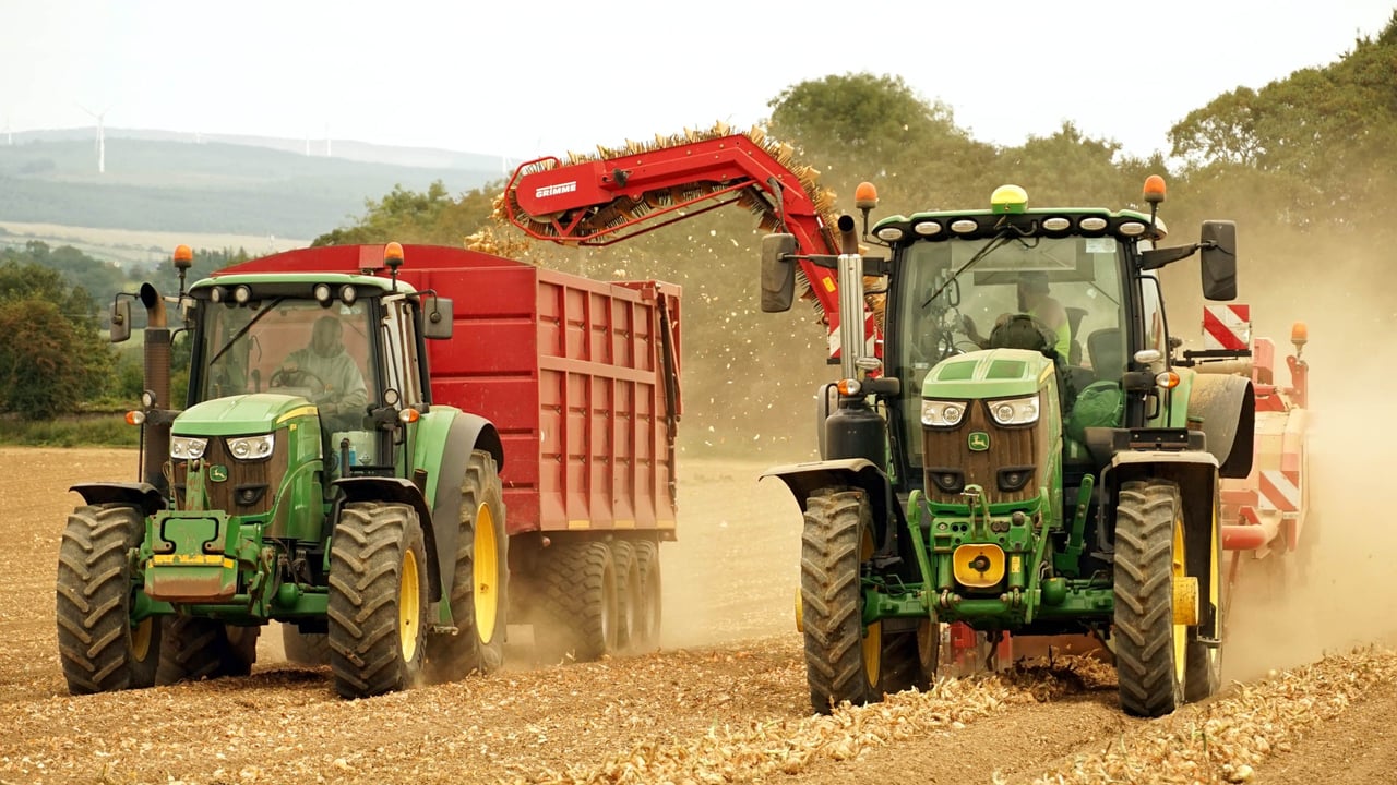 Onions and innovation bring success to Co. Cork grower