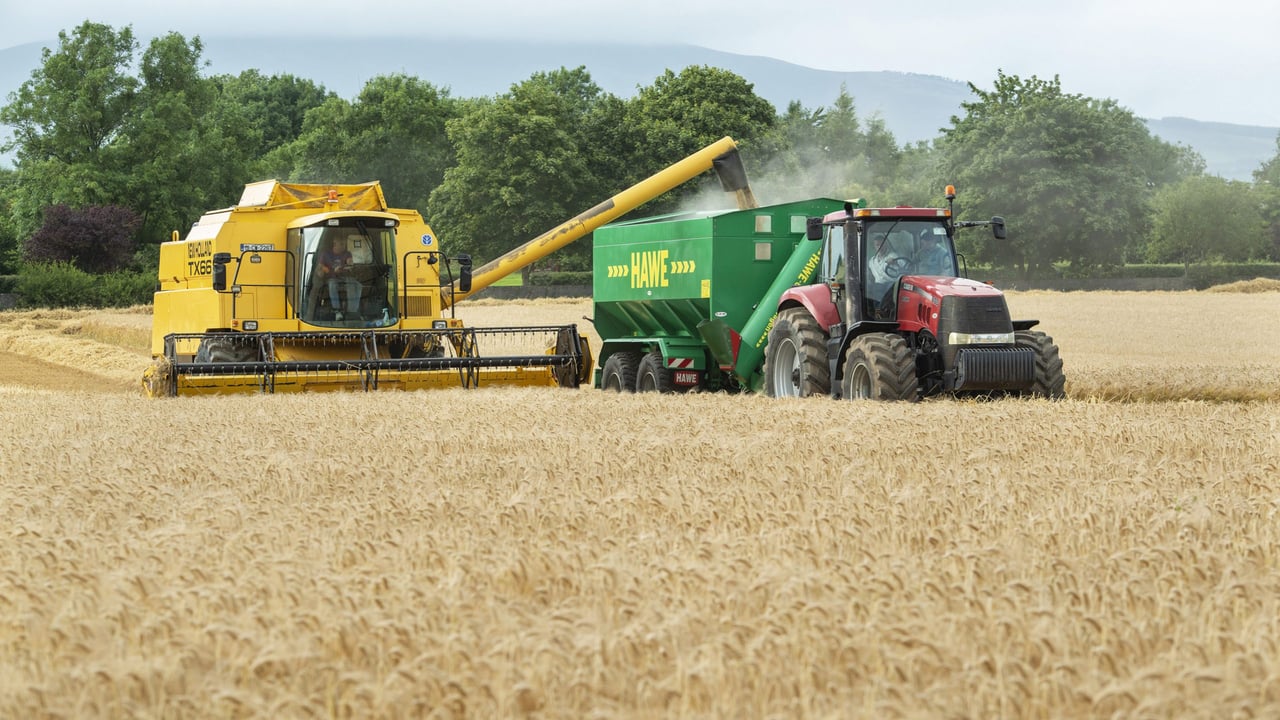 Harvest update: Most crops now harvested following dry weather