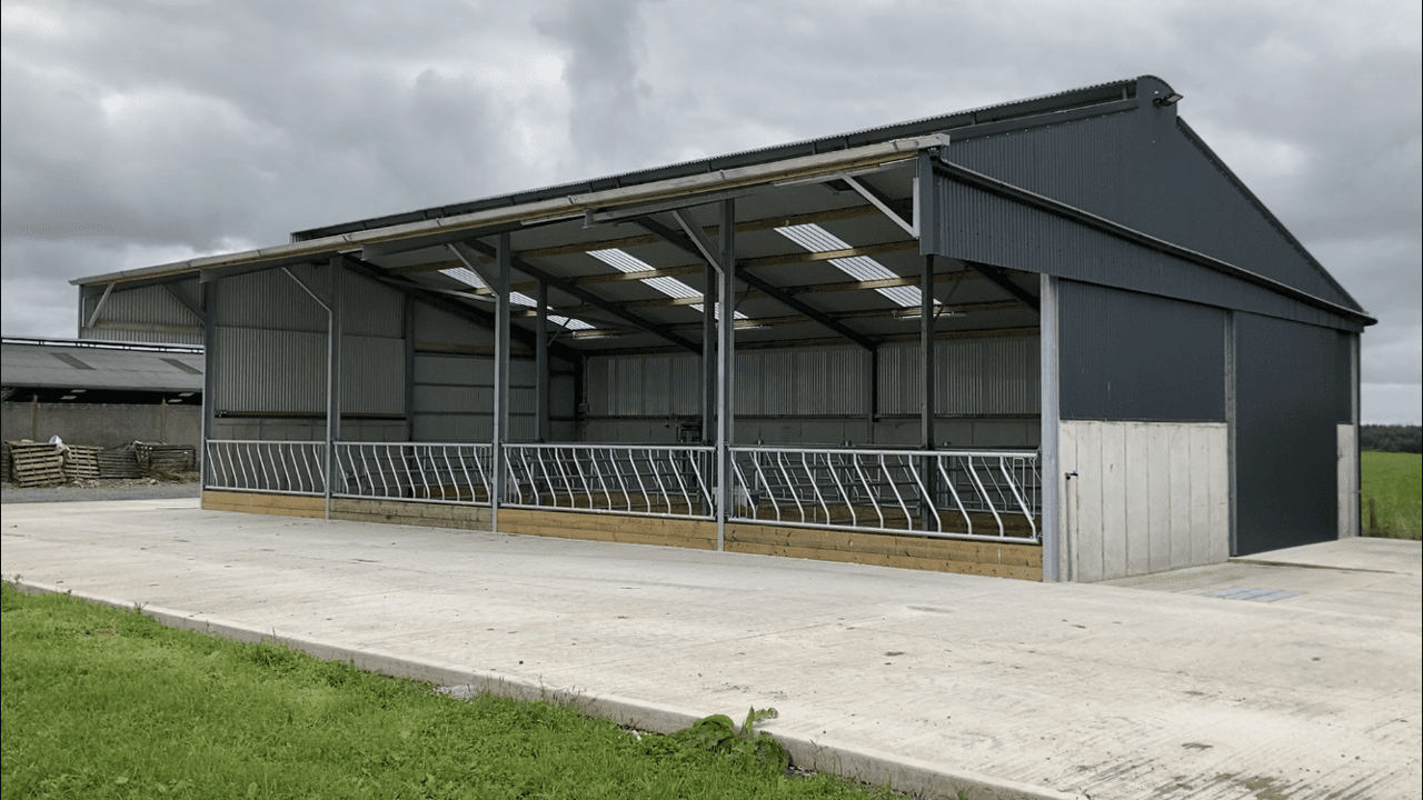 Buildings Focus: 4-bay slatted shed in Sligo for suckler-to-beef farm
