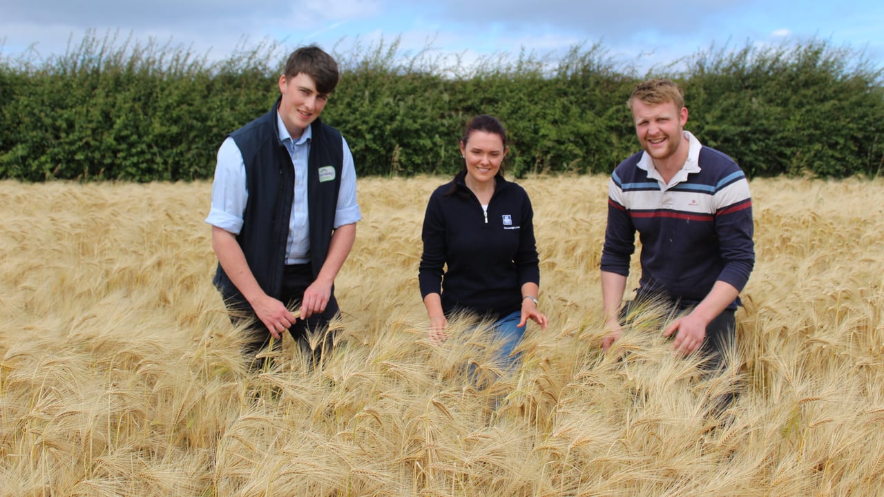 Attending the AHDB farm walk, hosted by monitor farmer Alistair Craig, (l-r): Christian Melly, Fane Valley; Chloe Kyle, Yara; Robert Alcorn, Limavady.