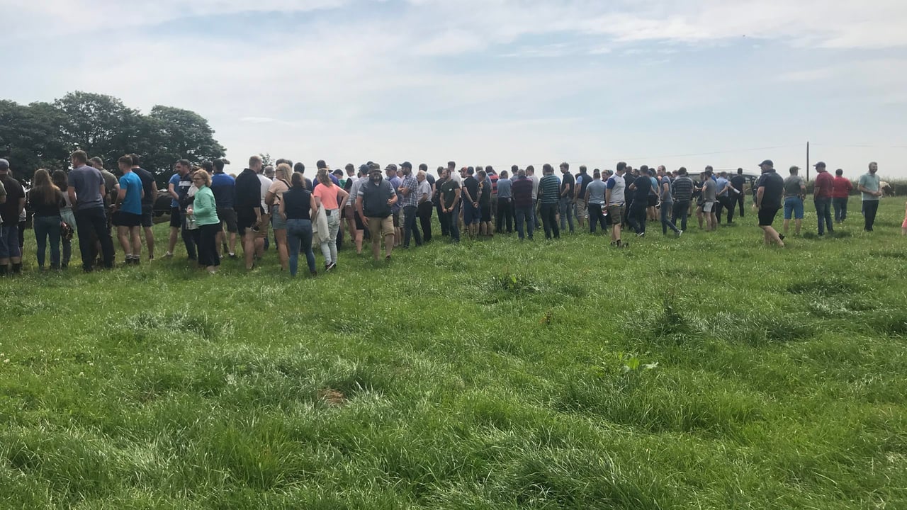 IGA Dairy Summer Tour: Grass is the core of the system