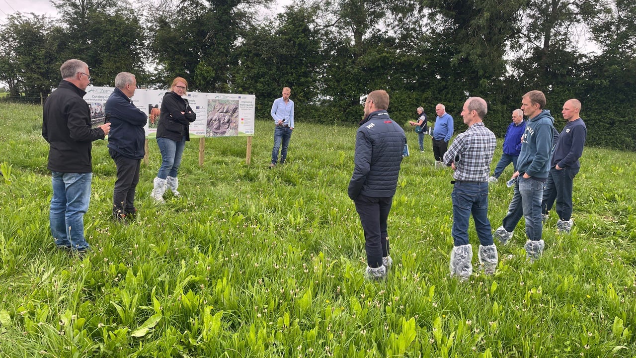 John Egerton, John Gilliland, Rachel Cassidy and William Egerton speaking one of the groups at the recent ARCZero farm walk