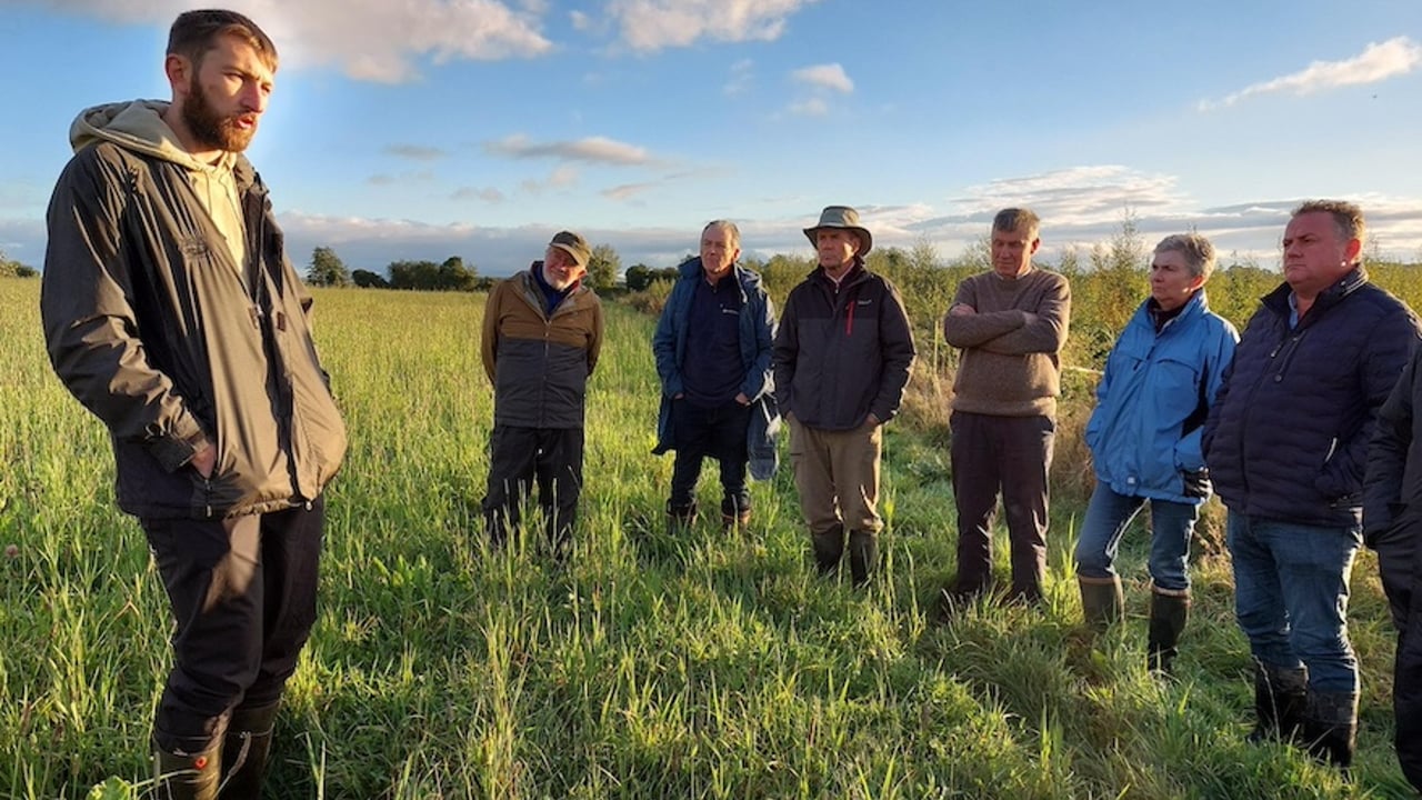 Farming for Nature Walk with Jack Browne FFN Ambassador Carlow