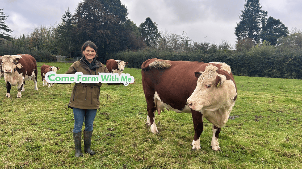 Meath beef farmer Catherine Smyth who take part in the Agri Aware webinar