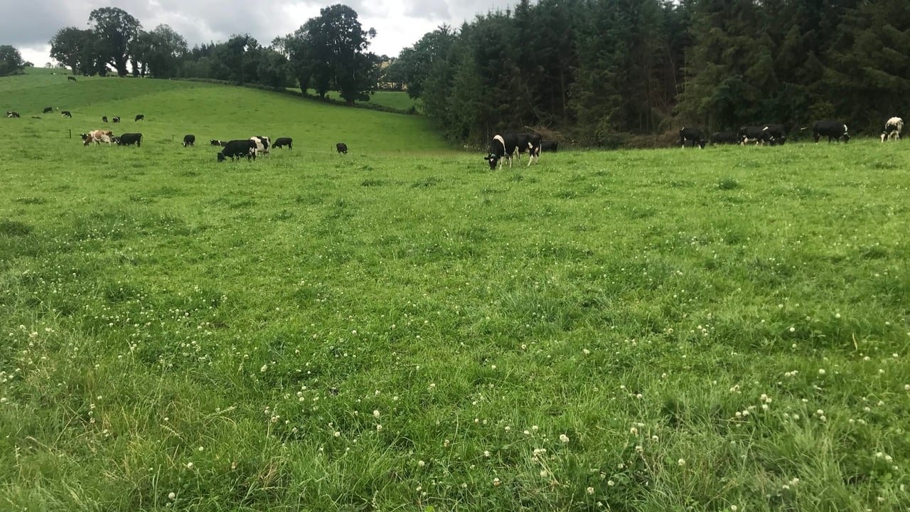 Farm succession planning on Co. Meath dairy farm