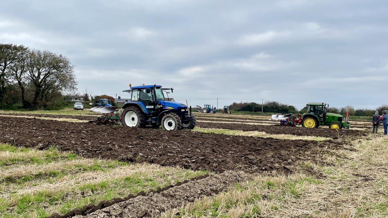 Gallery: 'High standard' at ploughing match in north Kerry