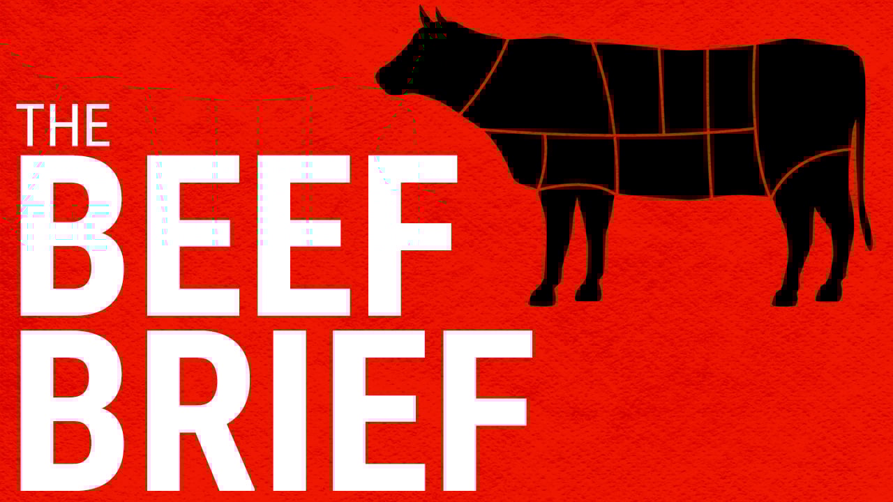 The Beef Brief: Pedigree cattle breeding and beef farming in Ardmulchan, Co. Meath