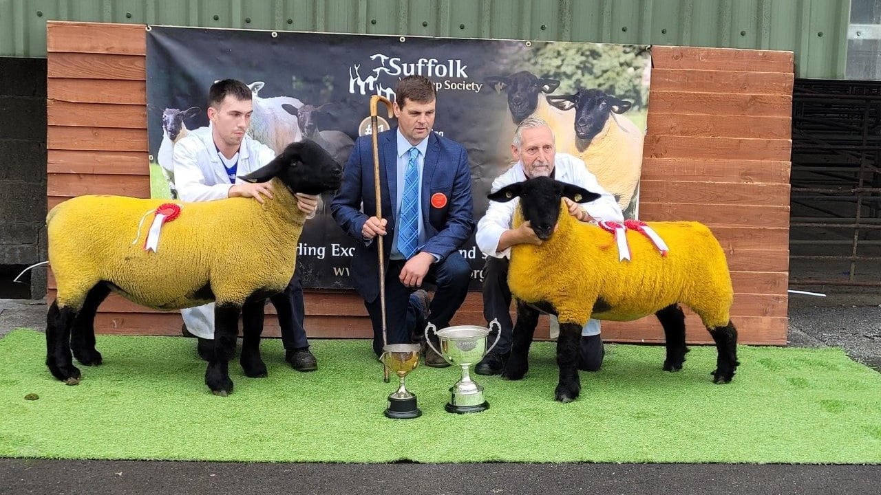 Image source: Suffolk Sheep Society South of Ireland Branch