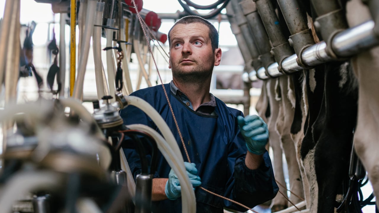 Quality Milk Awards series: 100-year-old finalist farm
