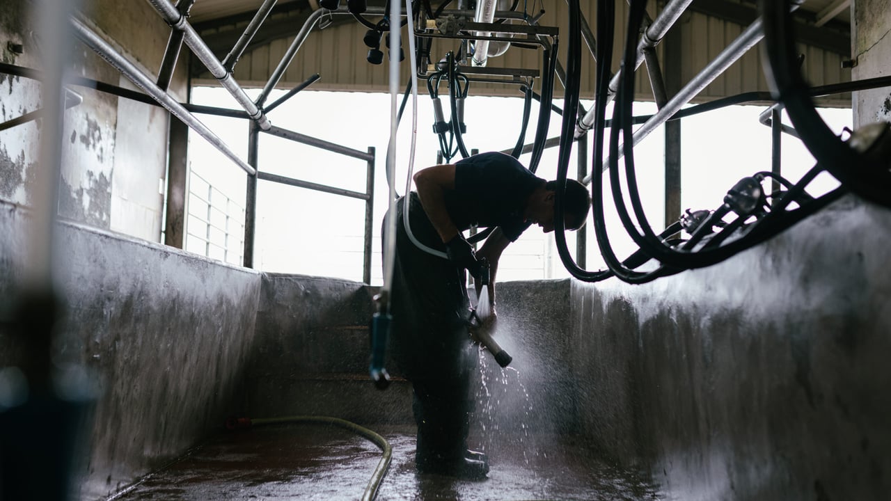 Quality Milk Awards series: From pharmacy to parlour