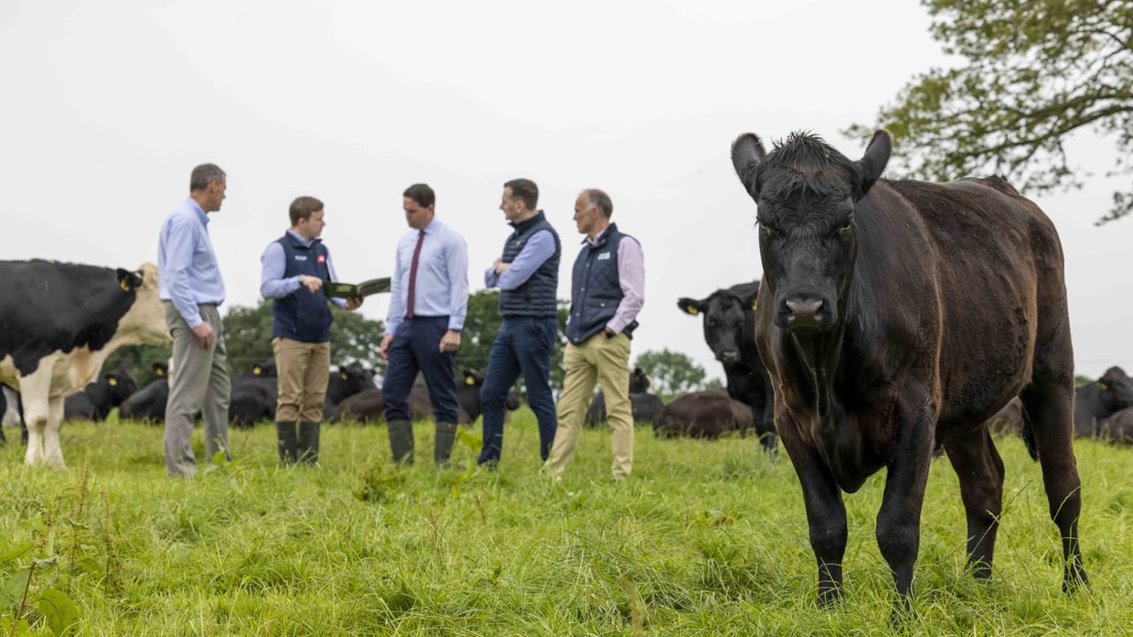 Head of dairy research at Teagasc, Padraig French; sustainability manager at ABP, Stephen Connolly; Minister of State with responsibility for research and innovation, Martin Heydon; managing director of ABP Ireland, Kevin Cahill; and ICBF technical director, Andrew Cromie, pictured at ABP’s demonstration farm in Clonegal, Co. Carlow. Image source: Fennell Photography