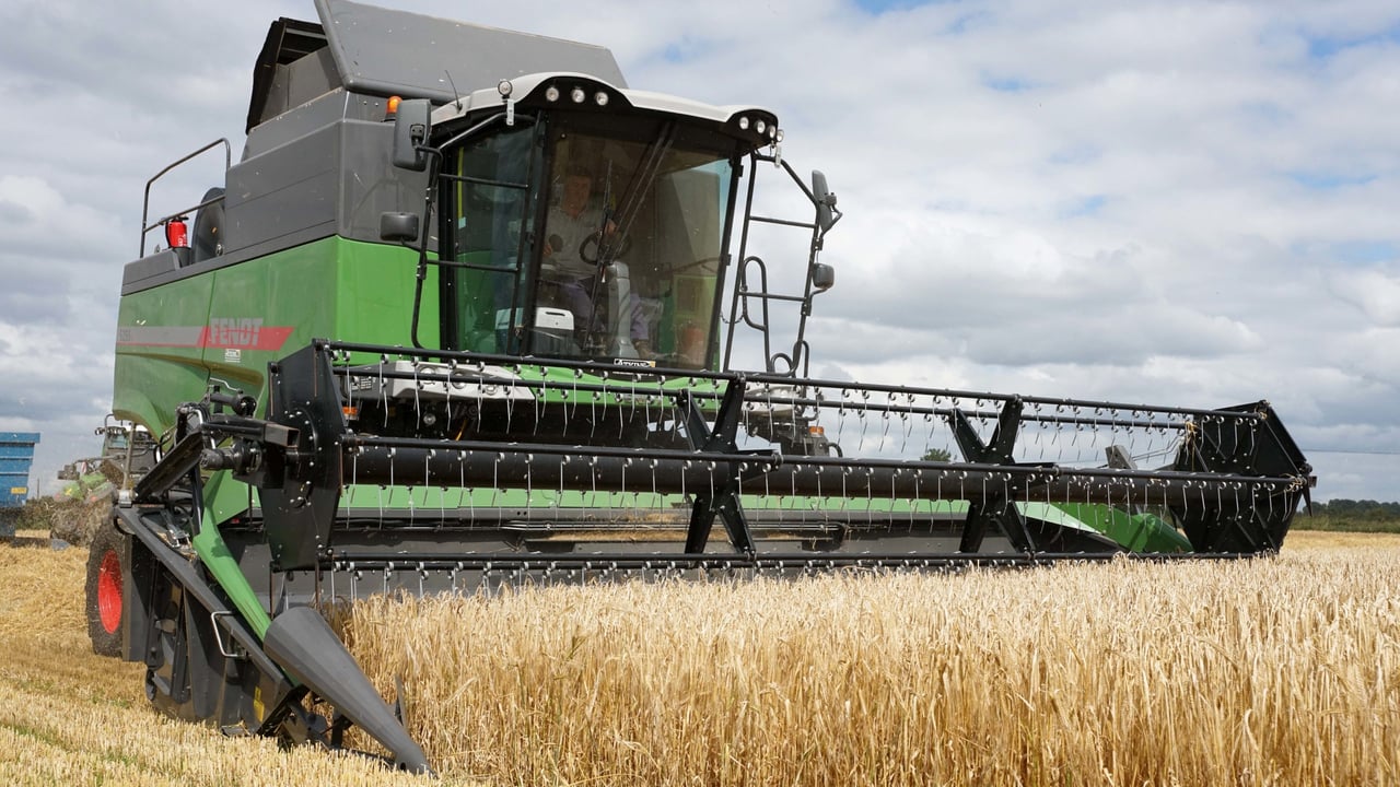 Call for further expansion of Irish tillage sector