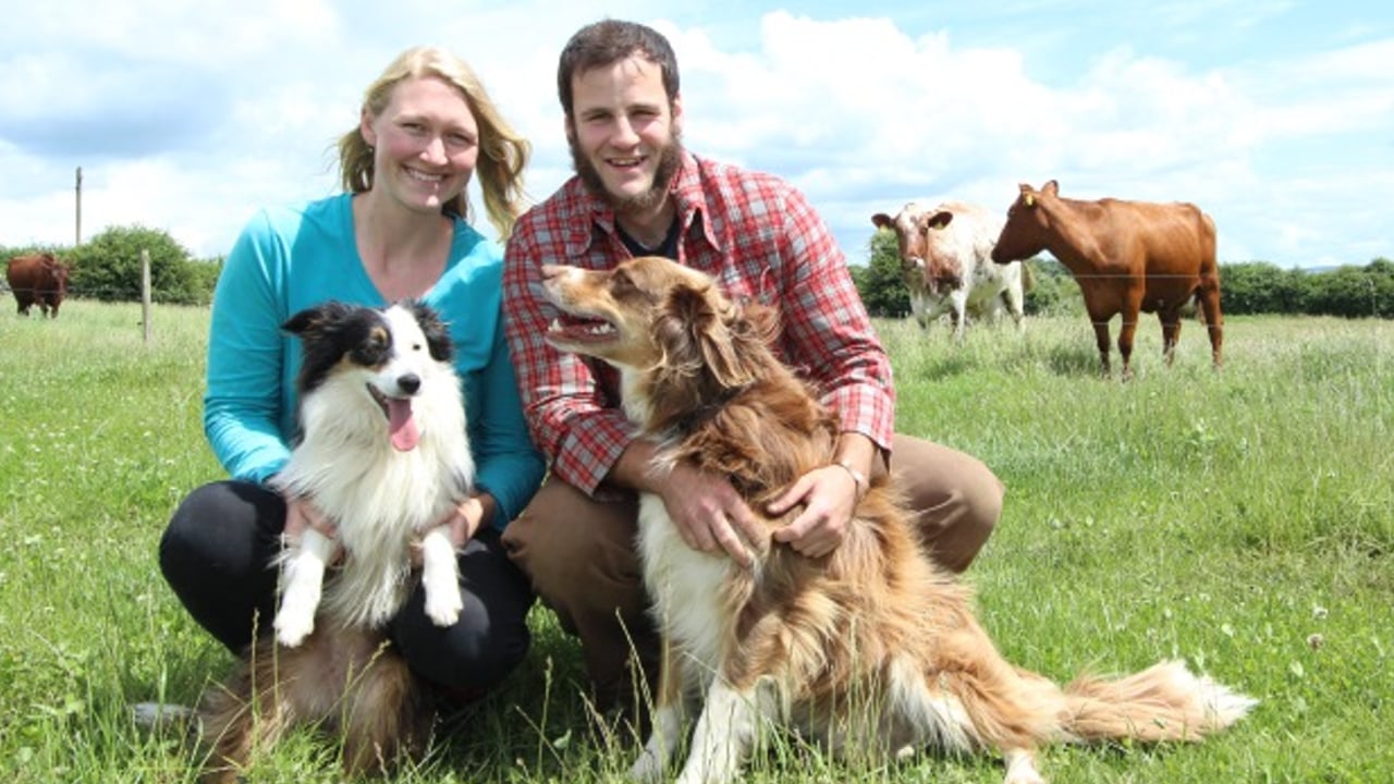 Dairy and mixed-stock farmers to host farm walk next weekend