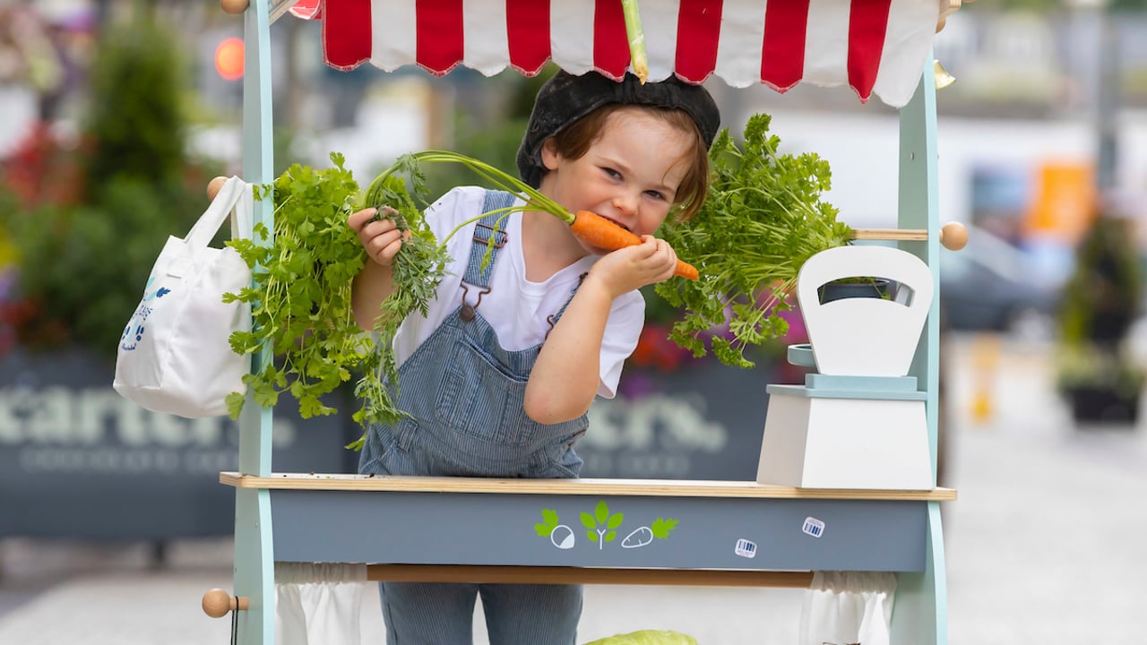 'Vegetable Grower' Hugh Cowman age 3, pictured ahead of the Waterford Harvest Festival.
Photo: Patrick Browne