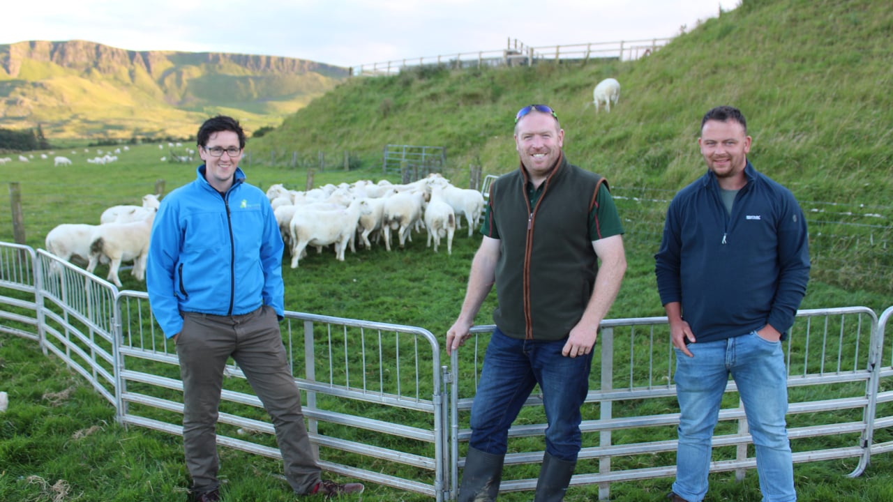 Chatting at the recent EasyCare open evening. L-R: Kevin McDermott, Sheep Ireland; Cormac Power, Portumna, Co. Galway; Frank Fagan, Oldcastle, Co. Meath