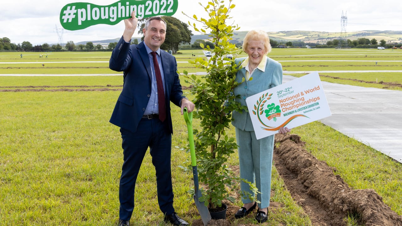 BOI to give away 1,000 hedgerow plants at Ploughing