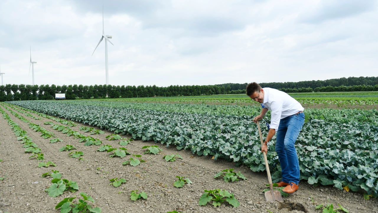 Image source: Rabobank