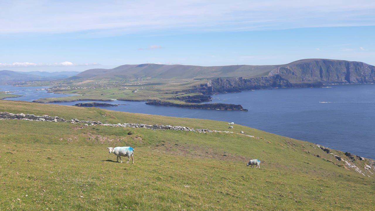 File image Kerry coastline