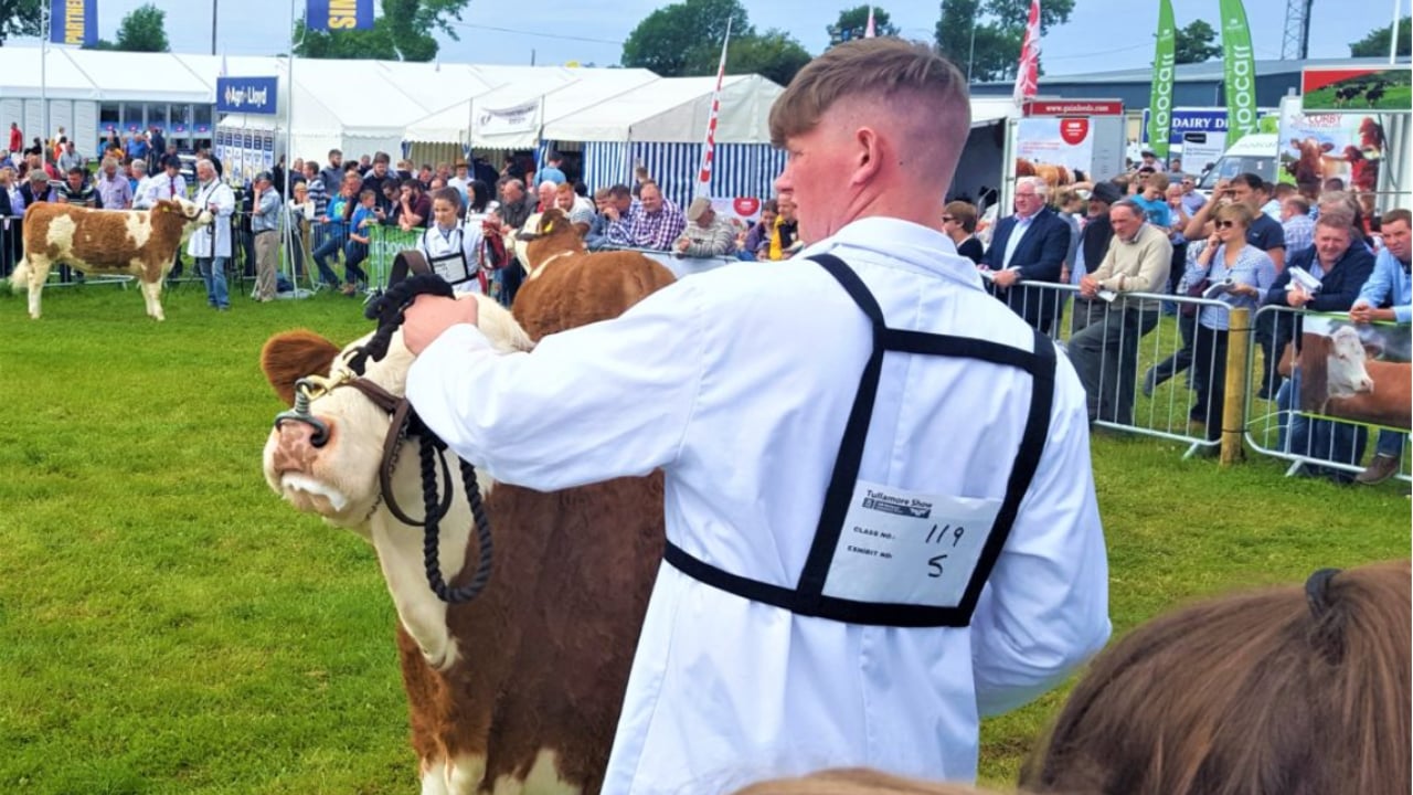 Site map: Find your way around Tullamore Show 2025