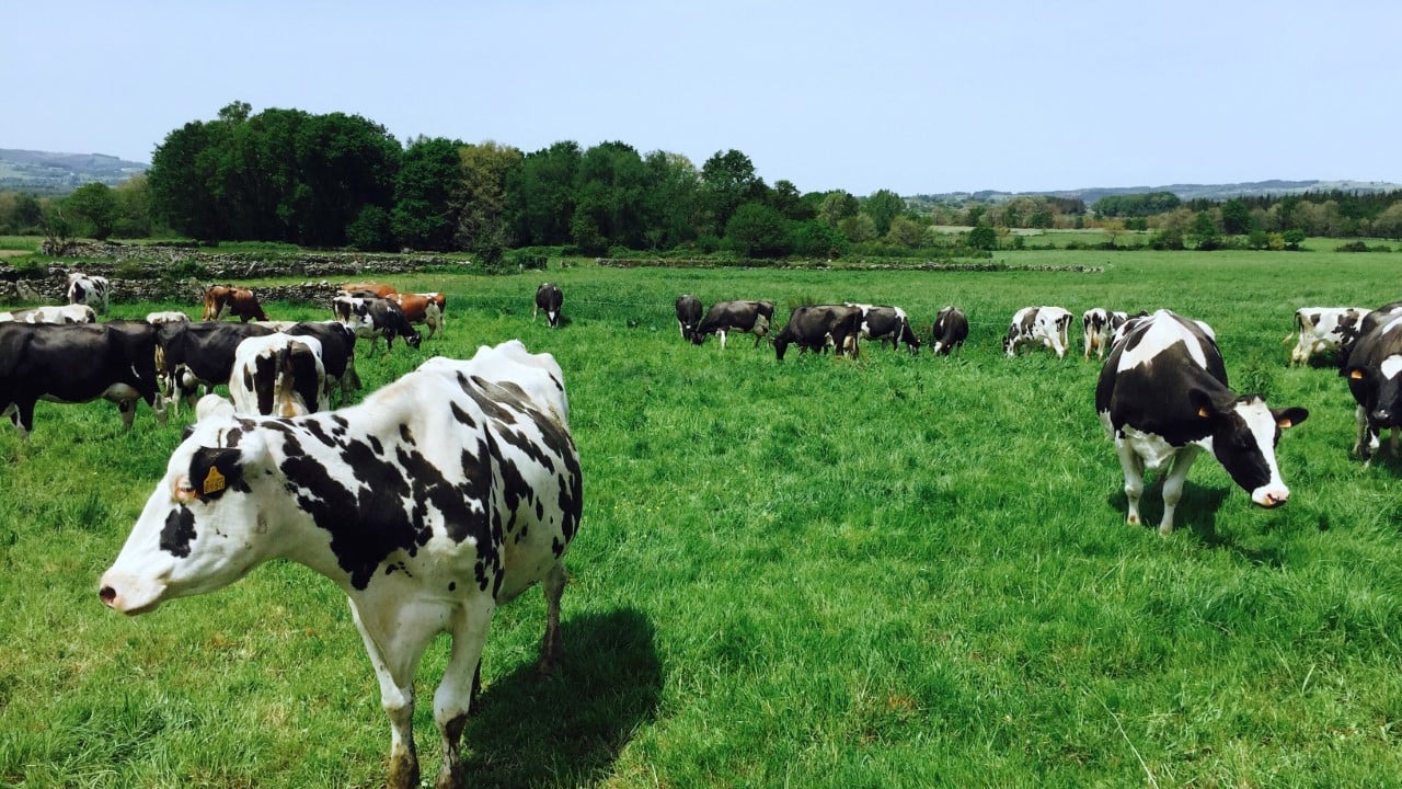 Guarding against a dip in butterfat