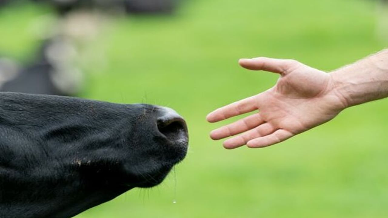 NDC & Kerrygold Quality Milk Awards 2023: Finalist focus