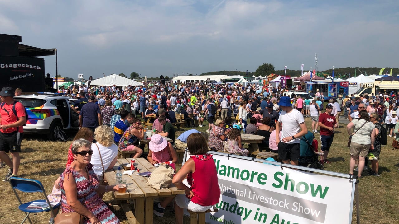 Dairy showing results from Tullamore show
