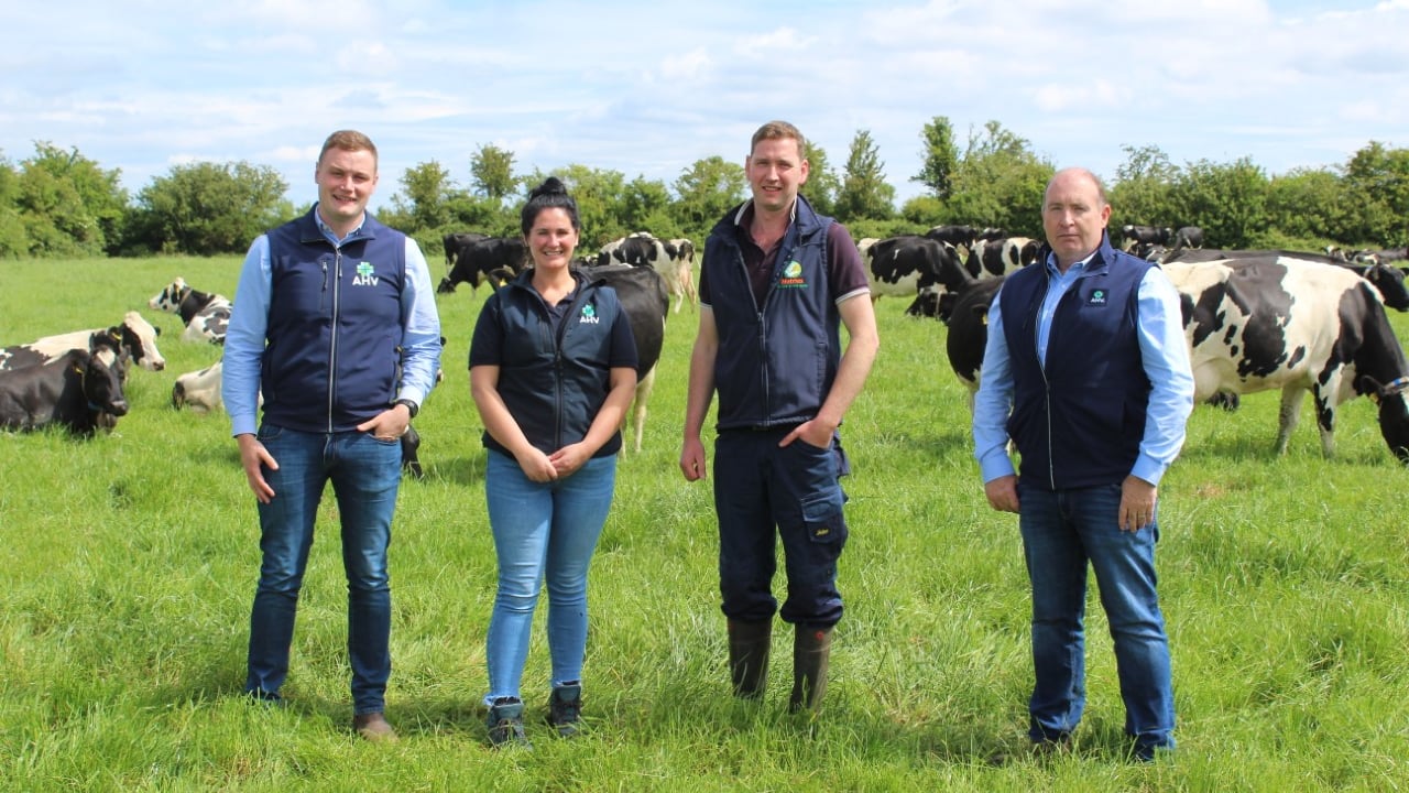 Healthier animals are a sustainable future for dairy farmers