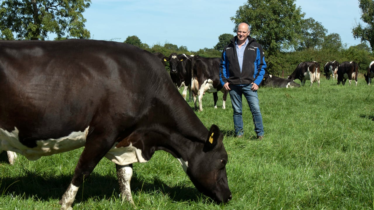The benefits of combining robotic milking and grazing