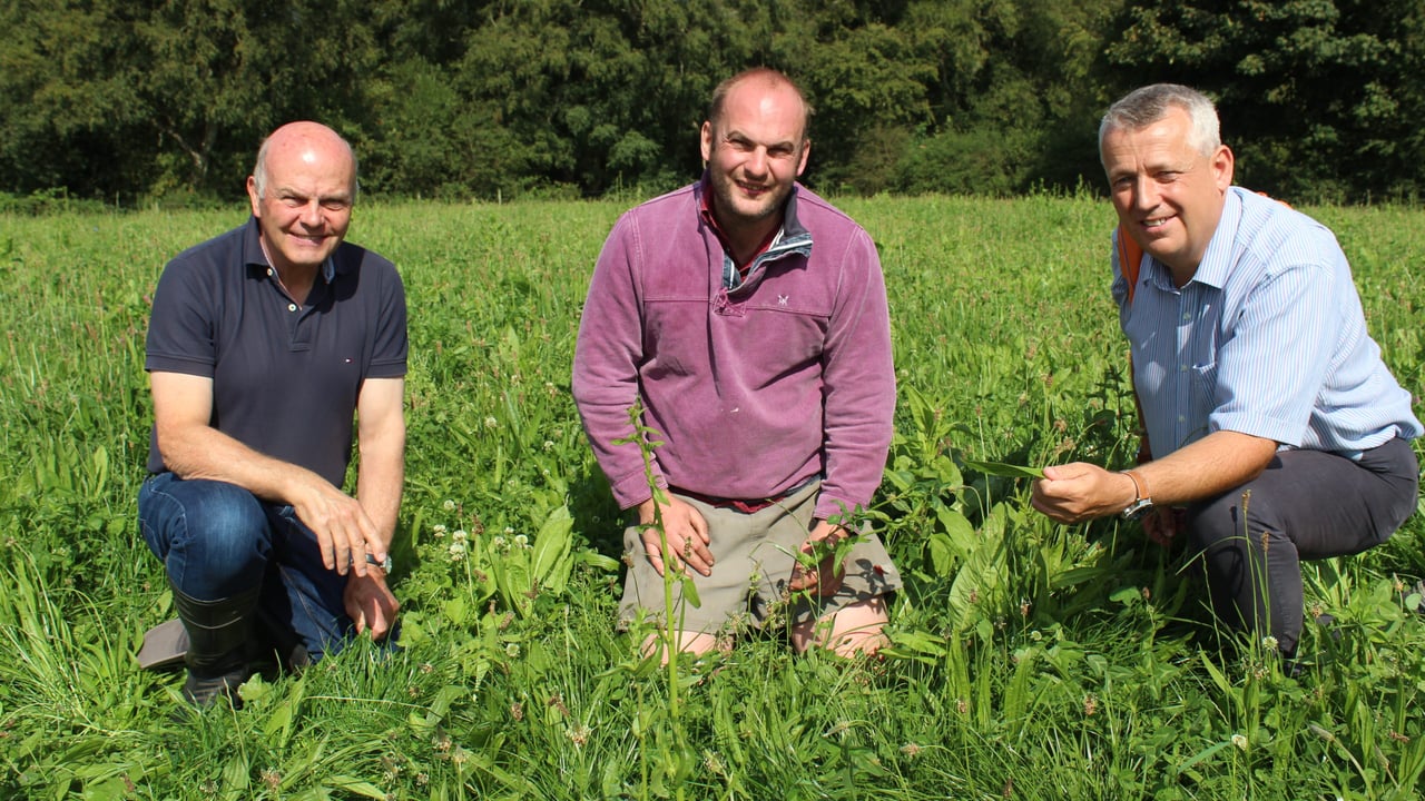 ARCZero host Hugh Harbison (centre) assessing a multi-species that was last grazed on August 4, 2022 with Prof. Jim McAdam (left) and Prof. John  Gilliland