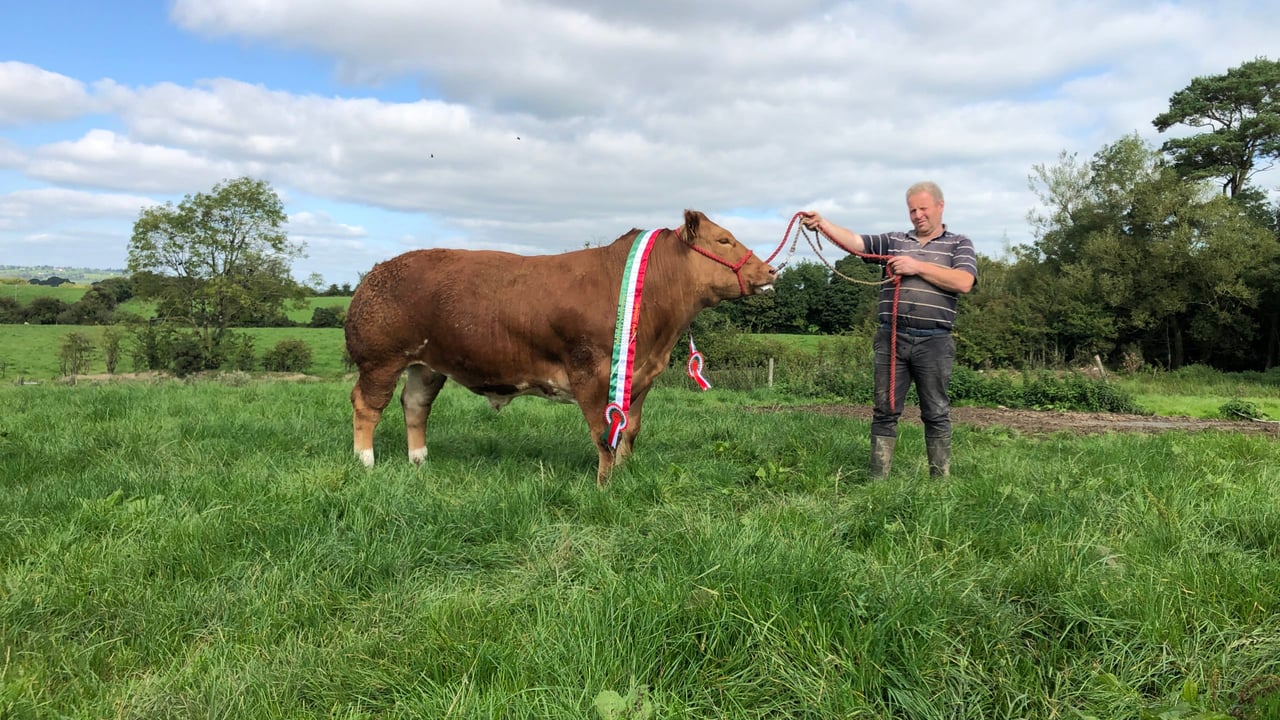 Co. Longford farmer John Kane pictured with his all-Ireland champion beef bullock
