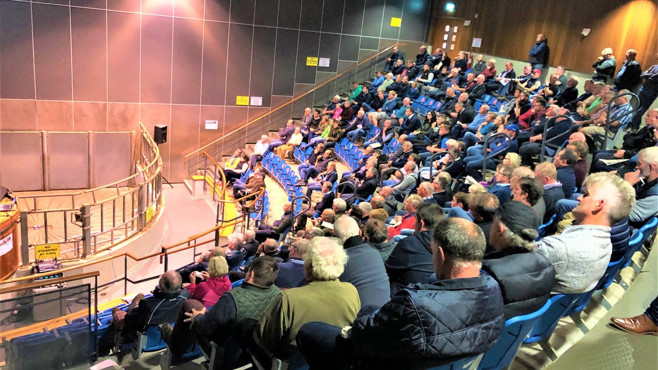 Farmers in attendance at the Teagasc winter beef finishing information event in Kilkenny Mart on September 13 
