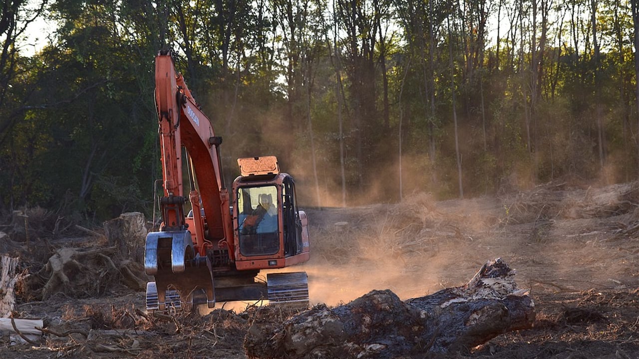 EU Parliament votes to amend and postpone deforestation law