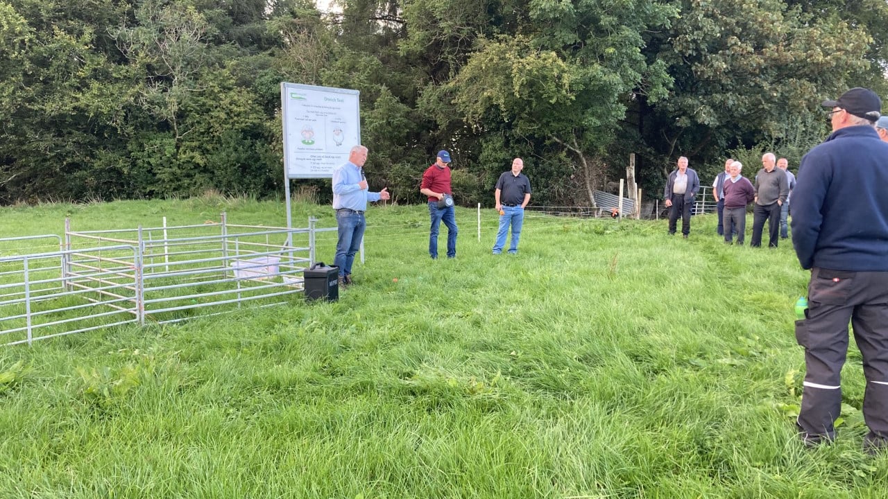 Farm walk: Anthelmintic resistance causing NZ sheep farmers to quit