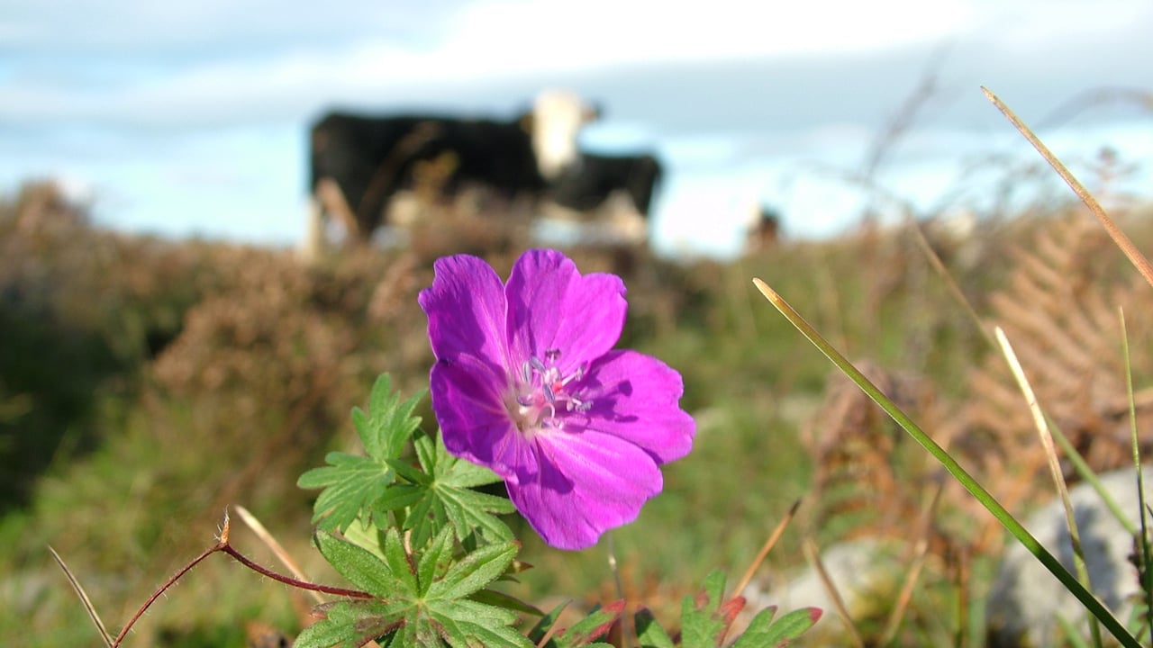Public encouraged to vote in Farming for Nature awards