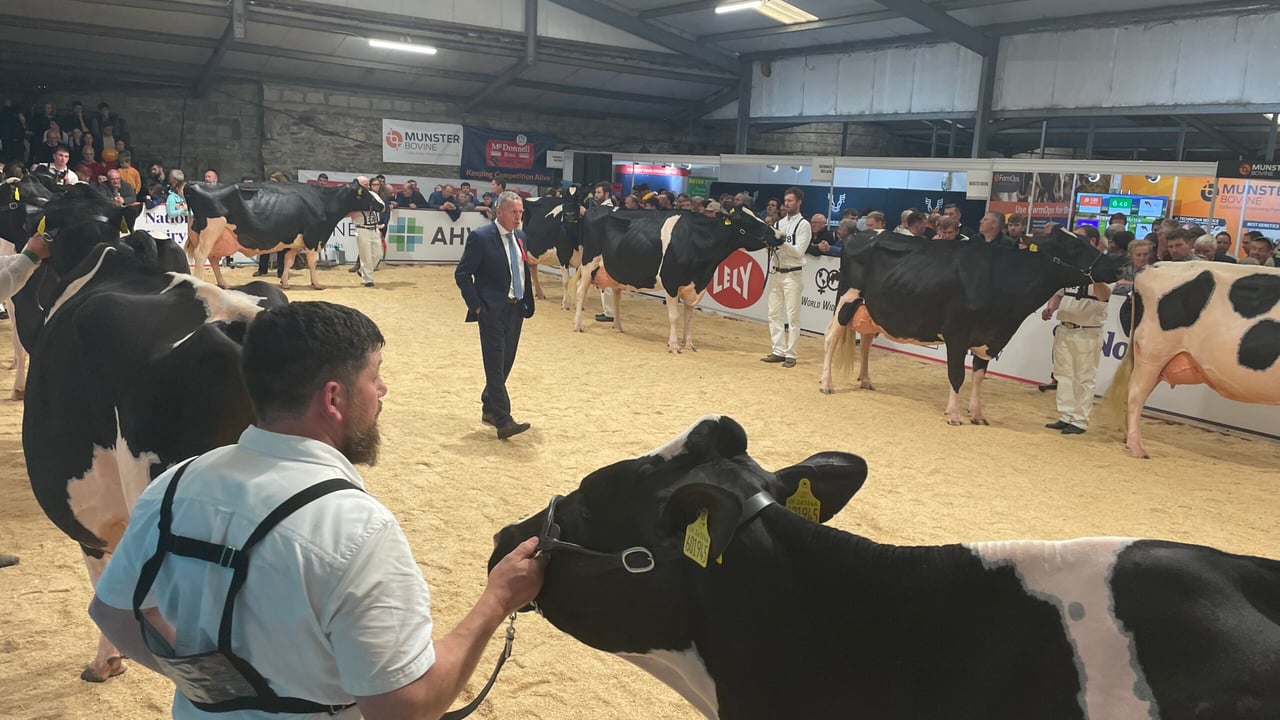 Video: AXA National Dairy Show 2022 ends on high note