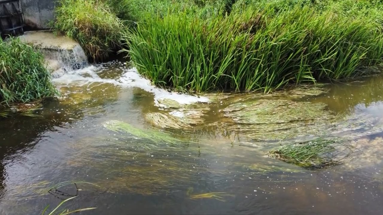 EPA: 6 food and drink sites subject to 'targeted enforcement'