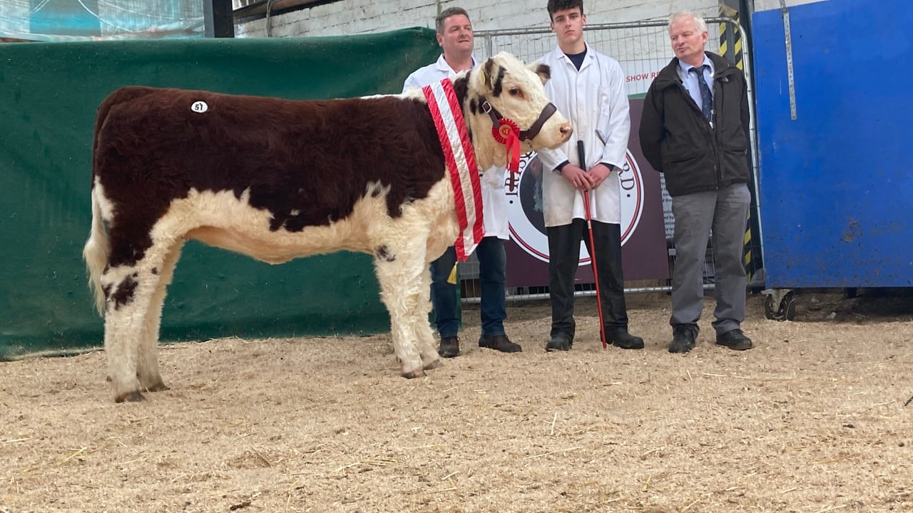 Lios Breacpoll 1 Patricia placed first in her class and was also tapped out as Female Champion