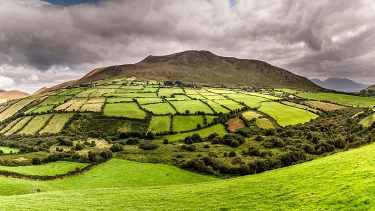 Farmers in south-west warned of low-flying survey aircraft