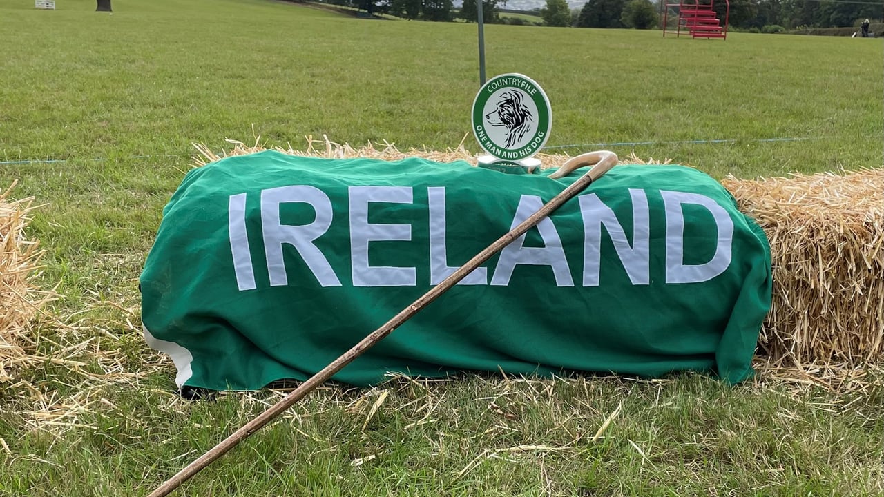'One Man and His Dog' title claimed by Kerry team