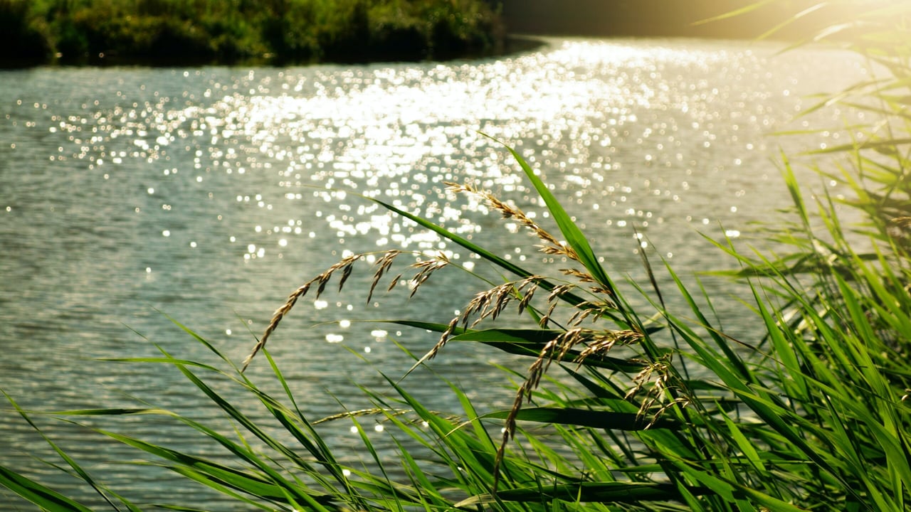 Review of local authority farmer penalties for water pollution